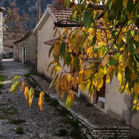 Bezeniko Amazing Arcadian Property! Vlacherna エクステリア 写真