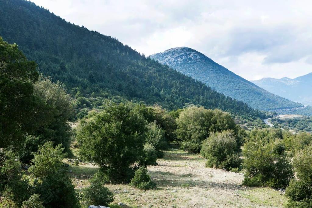 Bezeniko Amazing Arcadian Property! Vlacherna エクステリア 写真