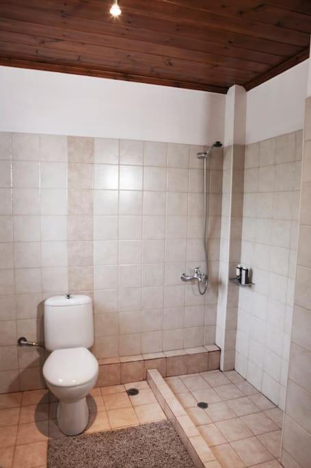 Bezeniko Amazing Arcadian Property! Vlacherna エクステリア 写真