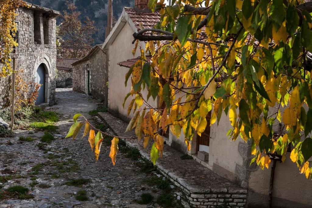 Bezeniko Amazing Arcadian Property! Vlacherna エクステリア 写真